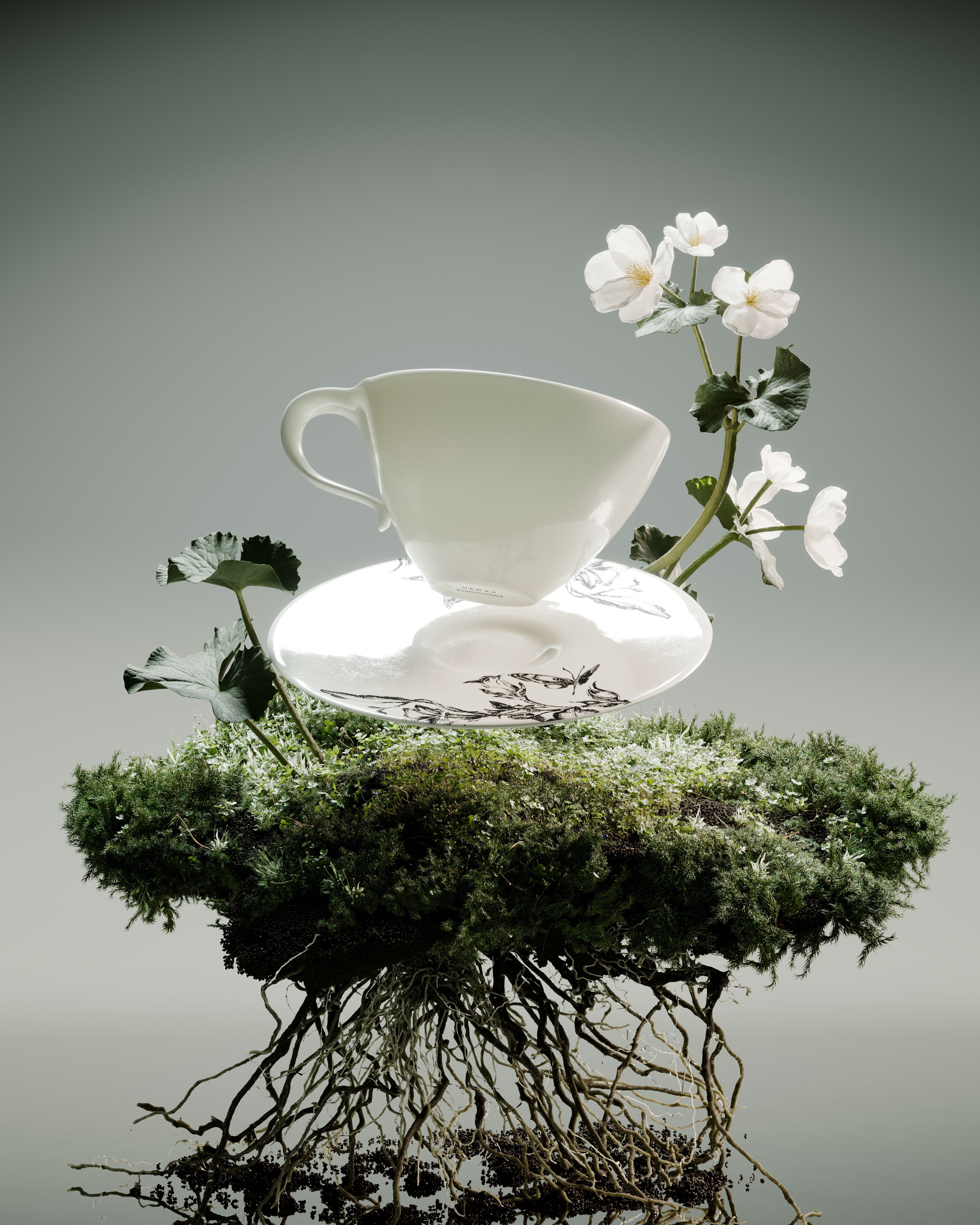 Serax + Tomorrowland – abc carpet & home