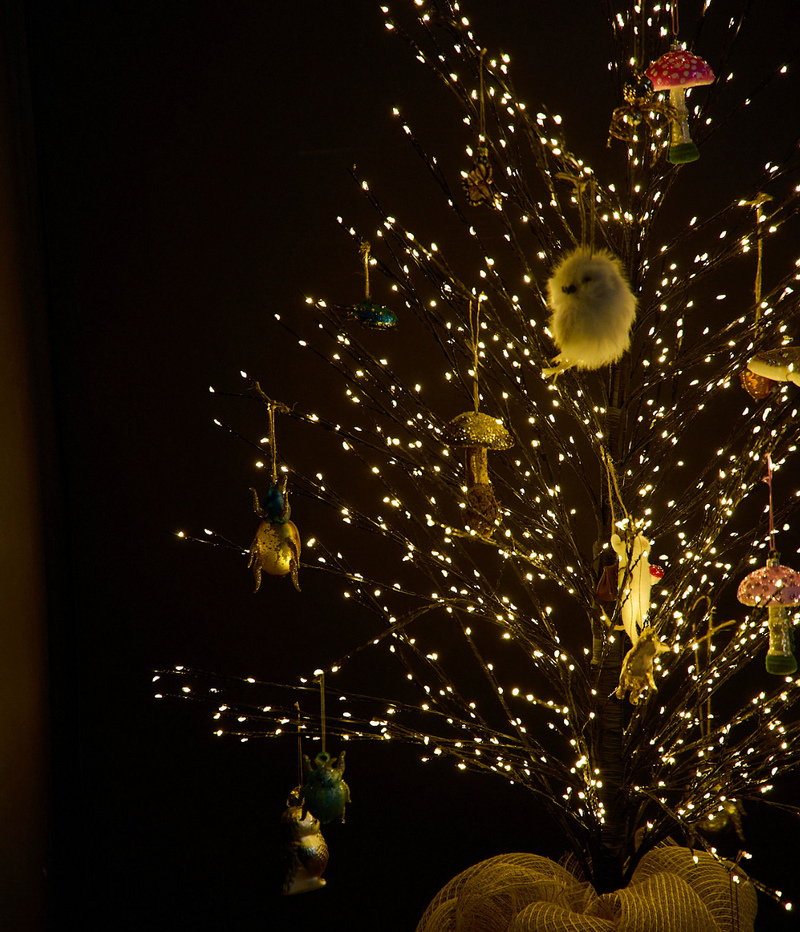 Woodland Holiday