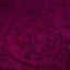 Pink Transitional Wool Rug - 10'2" x 13'5"