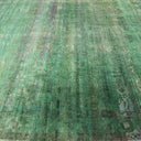 Green Alchemy Transitional Silk Rug - 9'11" x 13'6"