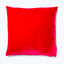 Velvet Pillow Azalea-24"x24"