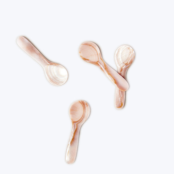 Brown Seashell Spoons, Set of 4-Small