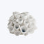Delicate white flower-like ceramic objects, a serene and elegant decor.