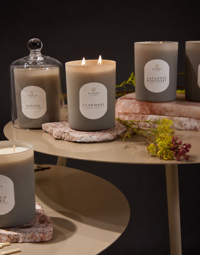 Candles & Fragrance