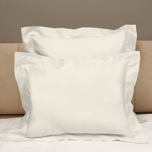 Raffaello Duvet & Shams Pillow Sham / Standard / Ivory - hover