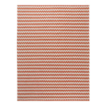 Drishti Flatweave Cotton Rug - 8'10"x11'10"