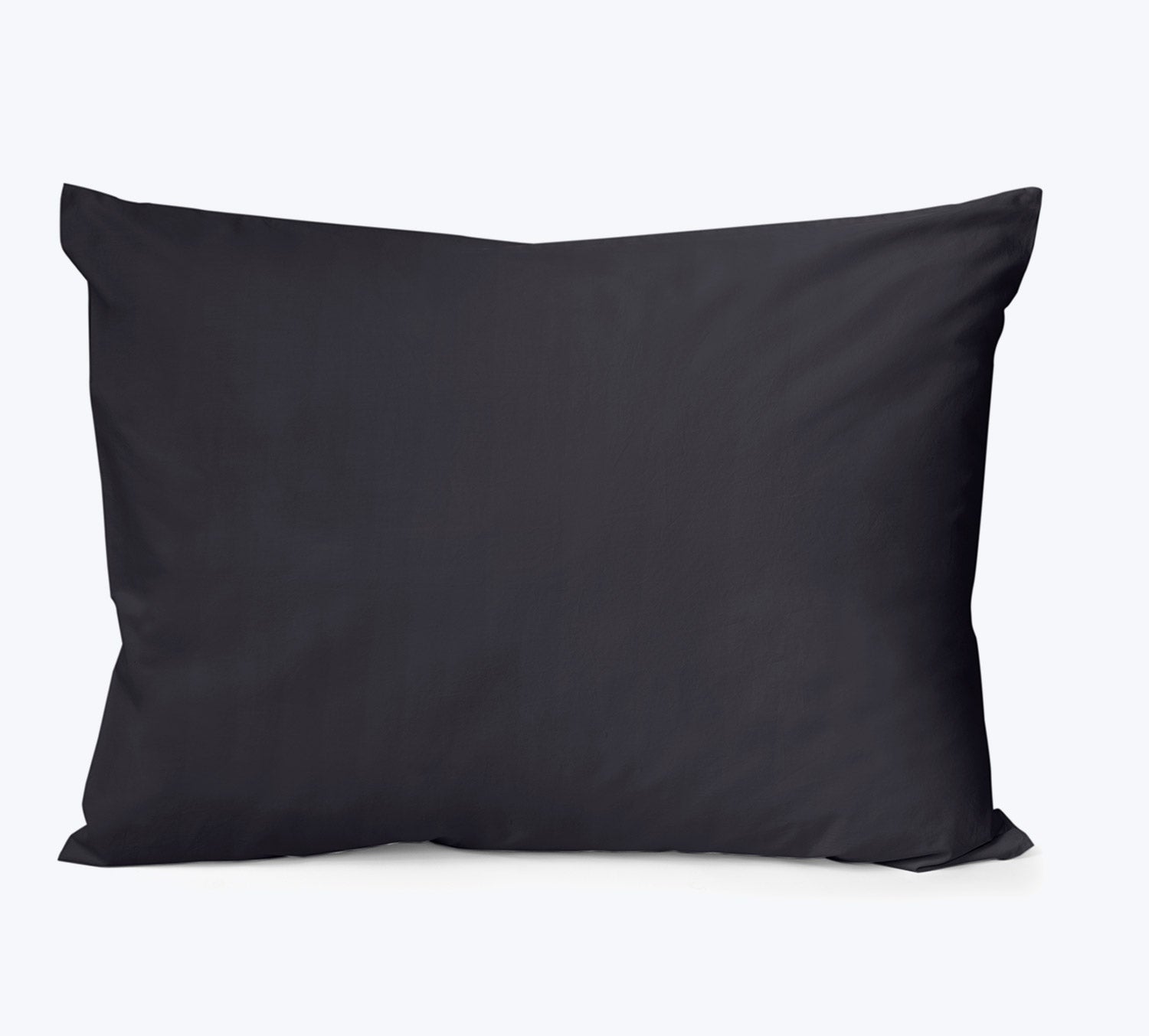 Viola Duvet & Shams Pillow Sham / Standard / Charcoal