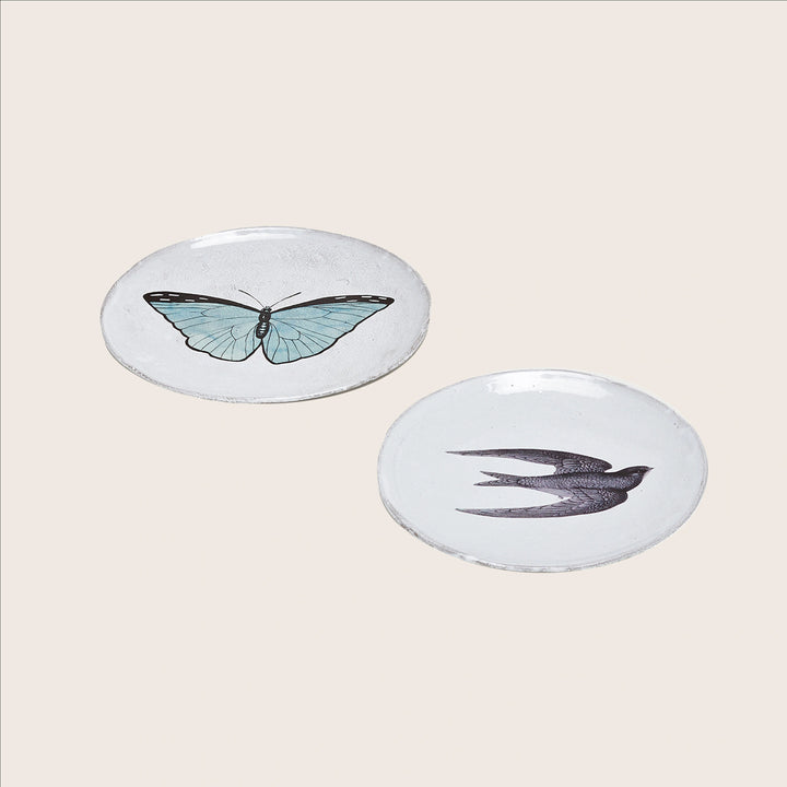 Image for Medium Swift Plate