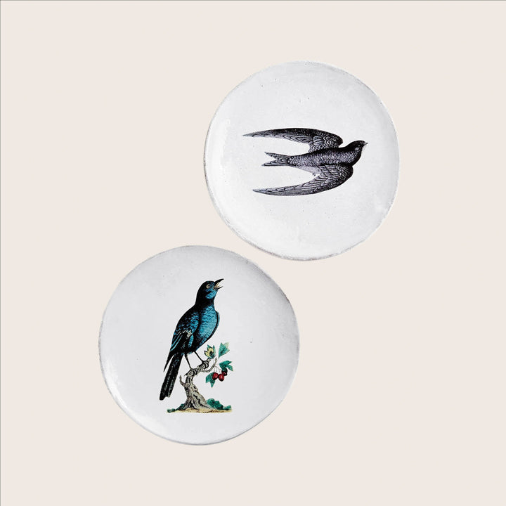Image for Medium Swift Plate