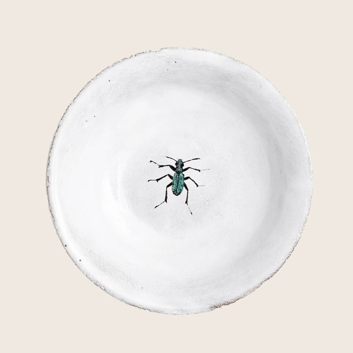 Image for Beetle Saucer