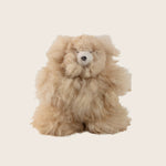 Bear Stuffed Animal