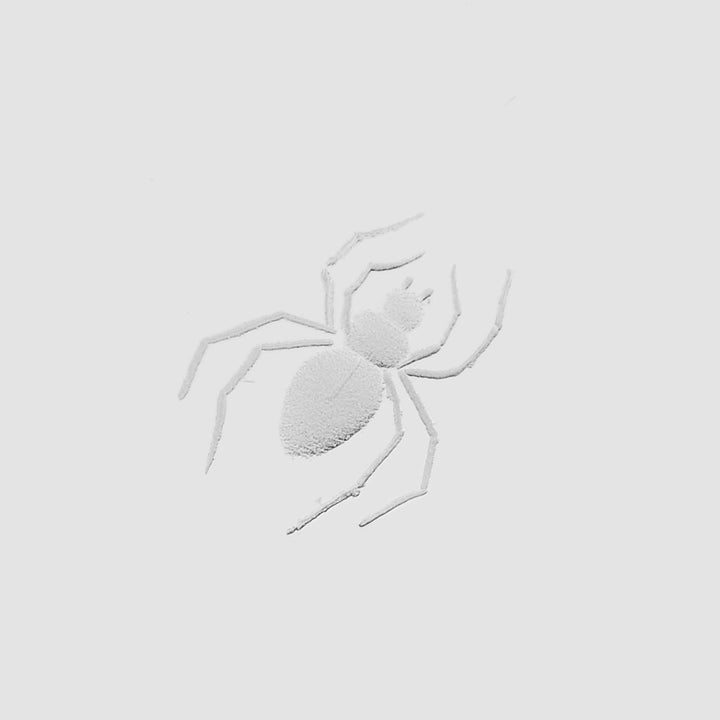 Lobmeyr Commodore Spider Tumbler