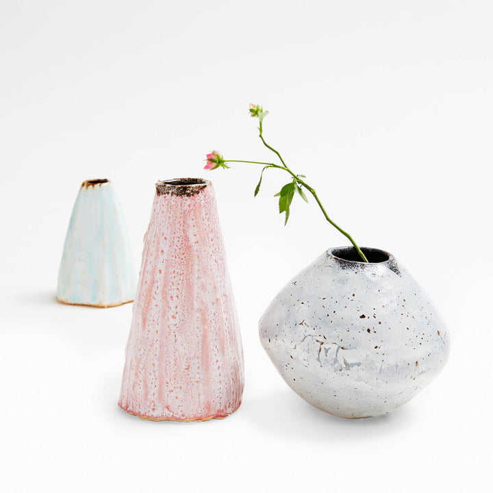 Ceramic vases with delicate flowers against white background, elegant decor.