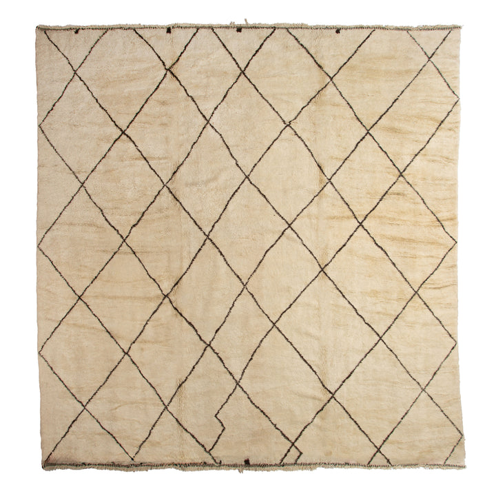 Traditional Wool Rug - 17'01" x 32'10"