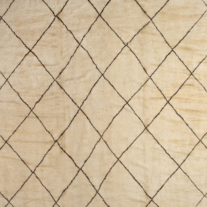 Traditional Wool Rug - 17'01" x 32'10"