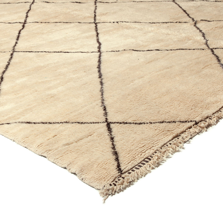 Traditional Wool Rug - 17'01" x 32'10"