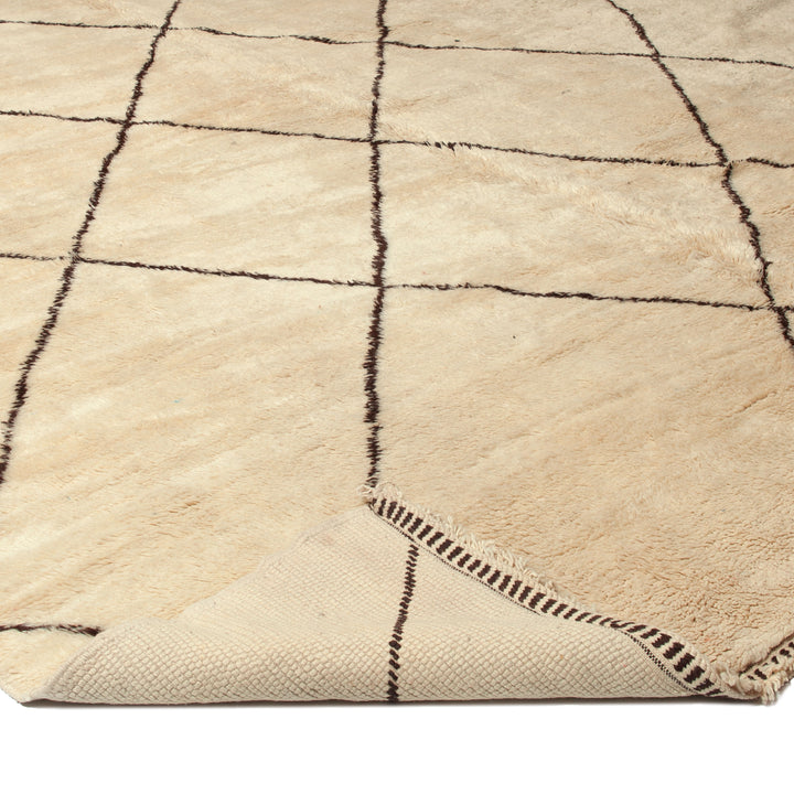 Traditional Wool Rug - 17'01" x 32'10"