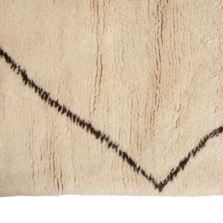 Traditional Wool Rug - 17'01" x 32'10"