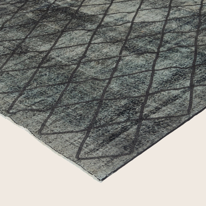 Color Reform Rug - 7.3' x 12'