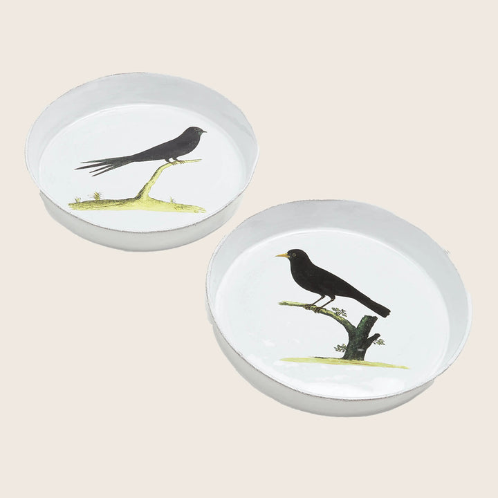 Image for Blackbird Dish