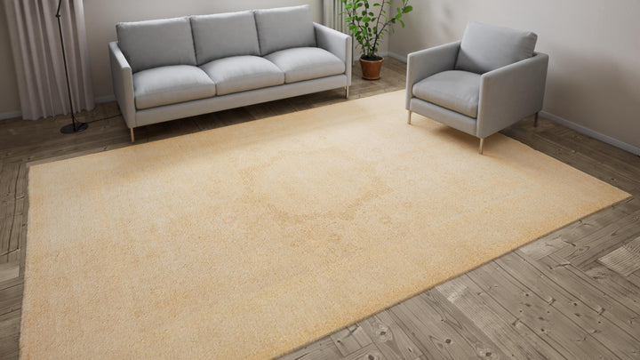 Beige Traditional Wool Rug - 8'11" x 12'1"