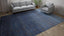 Blue Transitional Silk Rug - 9'10" x 13'09"