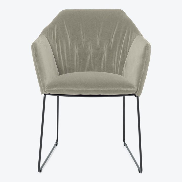 Sedia Dining Arm Chair
