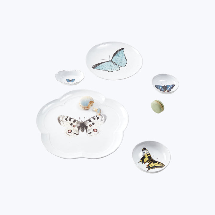 Colorful butterfly plates with realistic illustrations and irregular shapes. Whimsical.