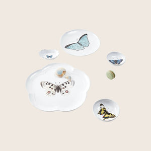 Ceramic bowl with distressed edge showcases vibrant butterfly illustration inside. - hover