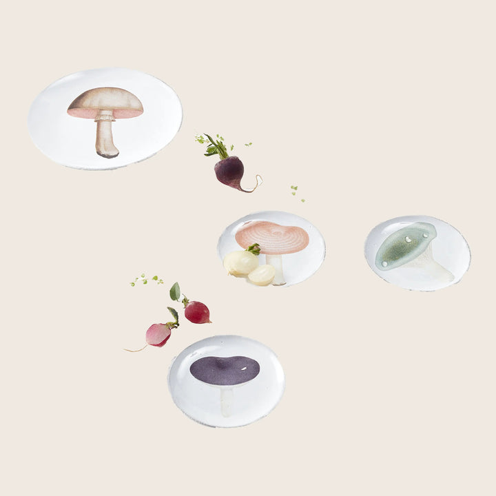 Image for Fourchu Saucer