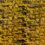 Yellow Overdyed Wool Rug - 12' x 14'