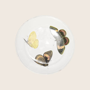 Round glass plate with intricately printed butterfly illustrations in vibrant colors. - hover