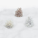 Frosted pinecones in winter colors for festive holiday decor display.