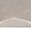 Beige Modern Wool Silk Blend Rug - 2'4" x 3'9"