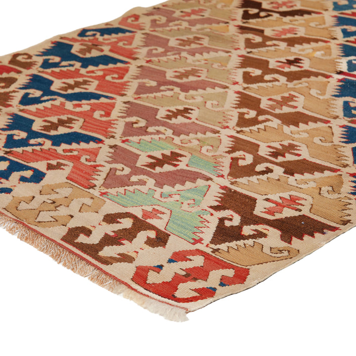 Vintage Anatolian Wool Flatweave Rug - 2'9" x 10'11"