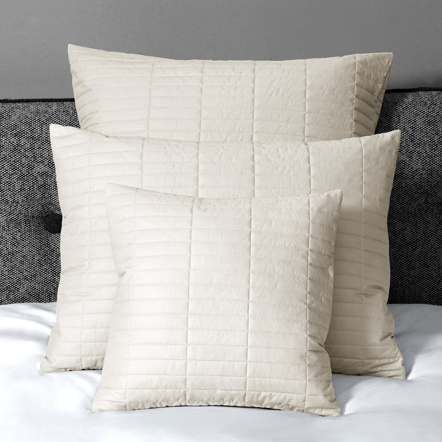 Spoleto Quilted Coverlet & Shams Pillow Shams / Standard / Ivory