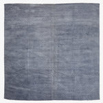 No access sign on locked gate and closed door concept.