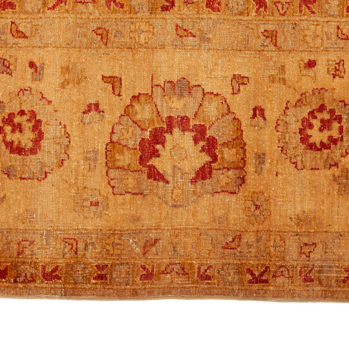 Traditional Wool Rug - 8'10" x 11'06"