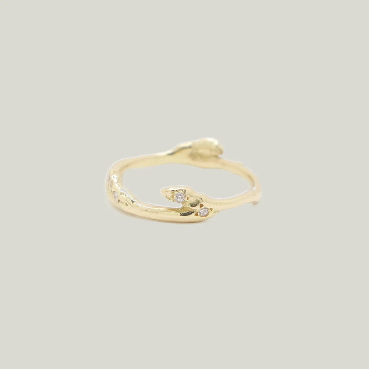 Branch Diamond Pave Ring 18k gold / Diamond / 5.5