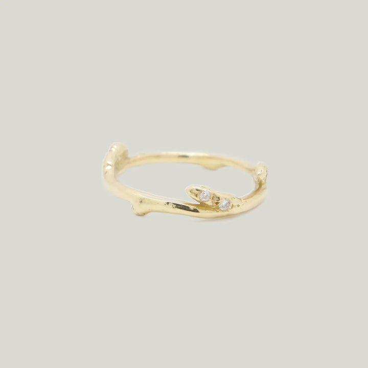 Branch Diamond Pave Ring 18k gold / Diamond / 5.5