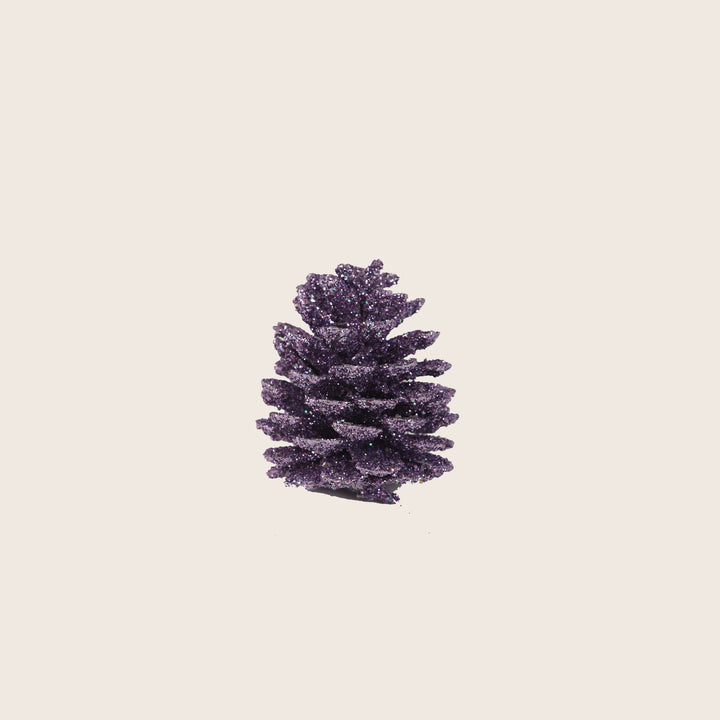 Image for Assorted Pinecones