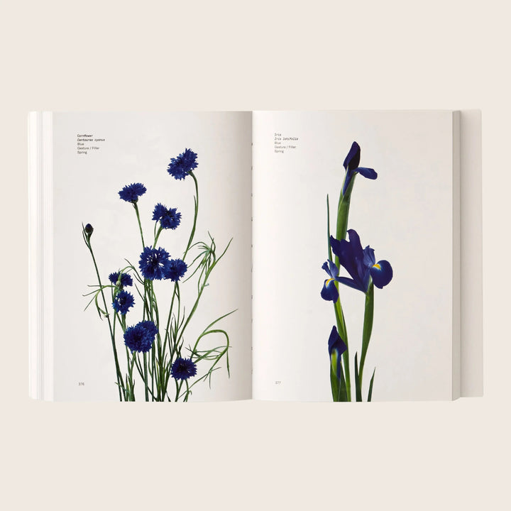 Flower Color Guide