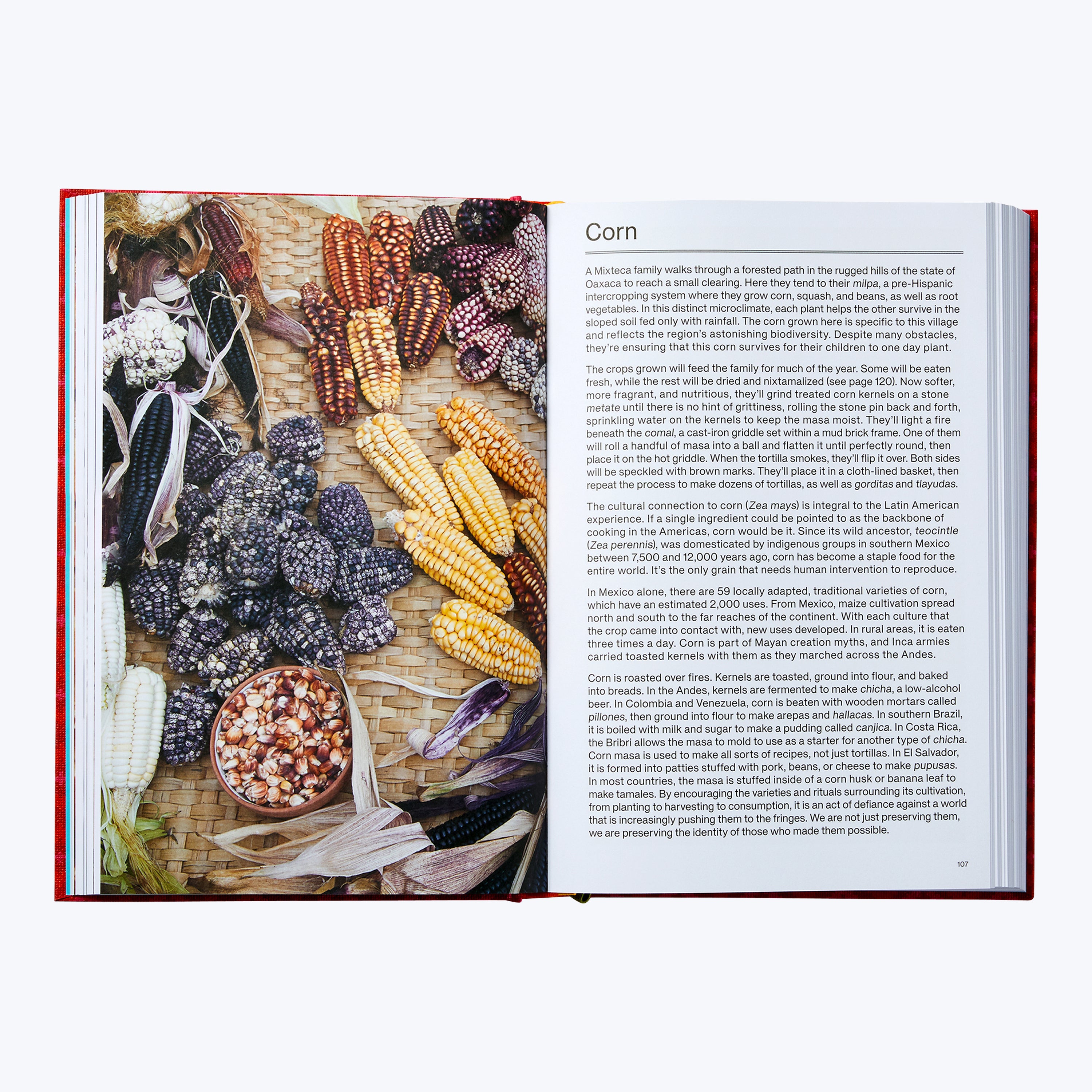 The Latin American Cookbook