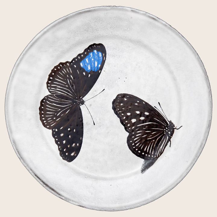Medium Flying-Landed Butterfly Plate