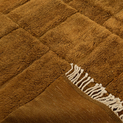 Brown Rugs