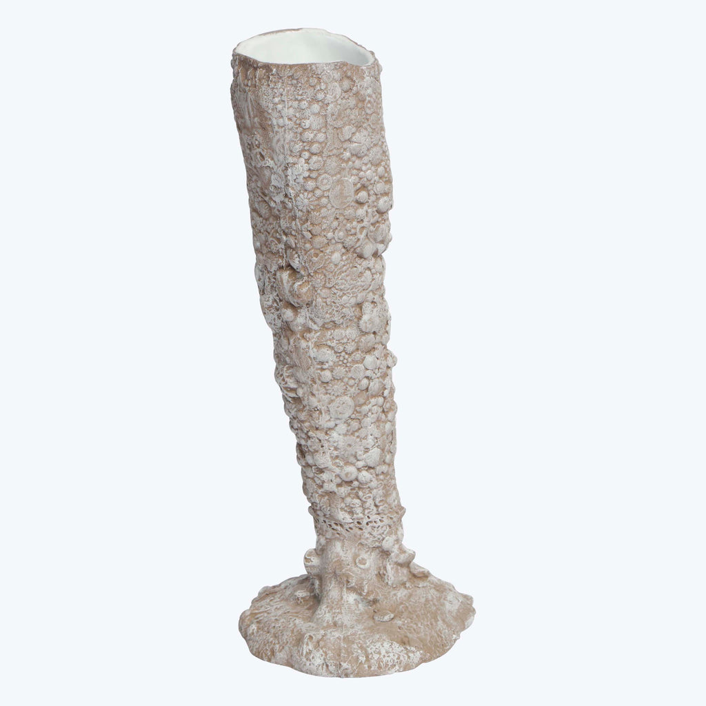 White Waxed Nautilus Vase