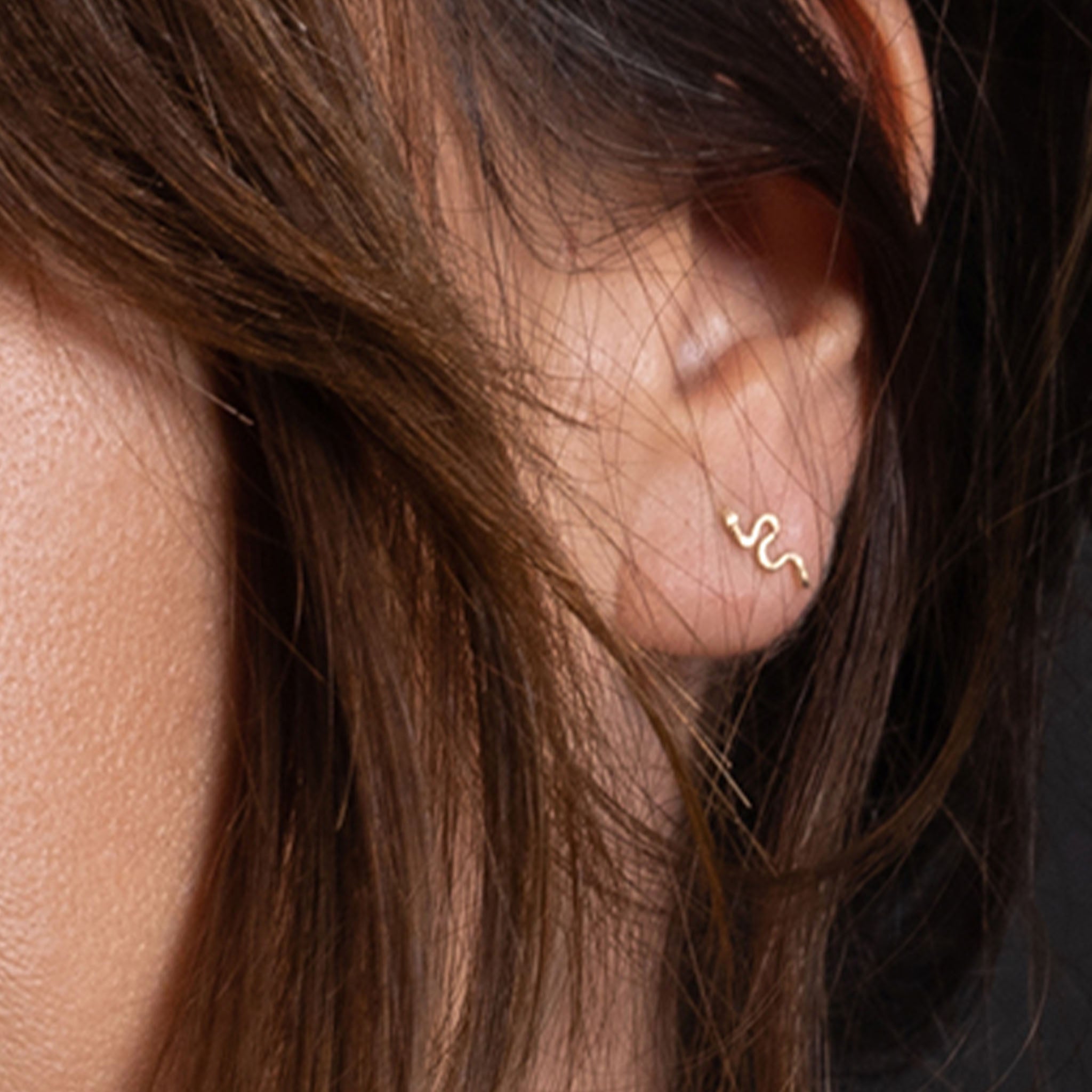 Pair of Itty Bitty Snake Earrings 14k Gold