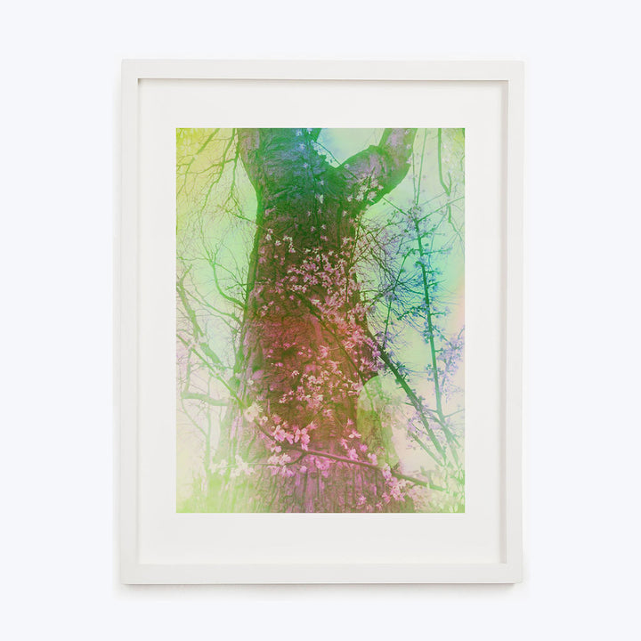 Ethereal tree artwork with pastel colors framed in modern style.