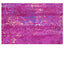 Nu Vibrant Rug - Pink 9' x 12'