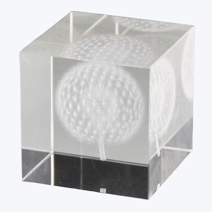 Dandelion Glass Hologram Default Title